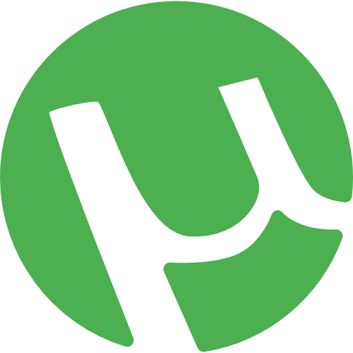 Understanding what a Torrent is